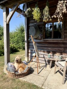 Made in Oak outbuilding